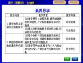 浙科版高中生物必修1第四节　细胞核是细胞生命活动的控制中心课件PPT