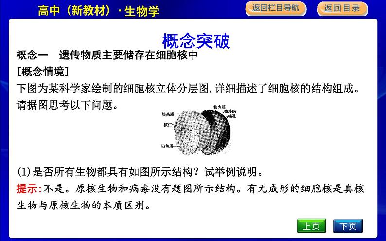 浙科版高中生物必修1第四节　细胞核是细胞生命活动的控制中心课件PPT07