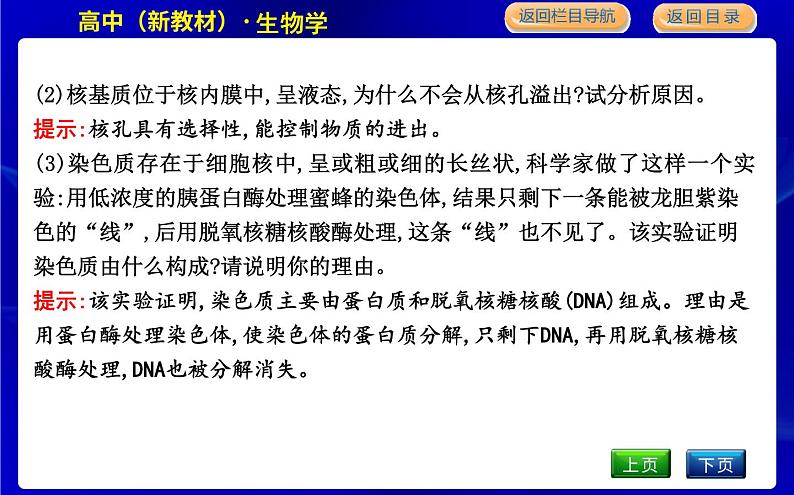 浙科版高中生物必修1第四节　细胞核是细胞生命活动的控制中心课件PPT08