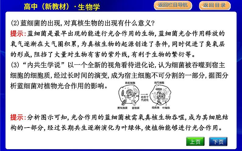 浙科版高中生物必修1第六节　原核细胞内无成形的细胞核课件PPT07