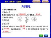 浙科版高中生物必修1第二节　酶是生物催化剂课件PPT