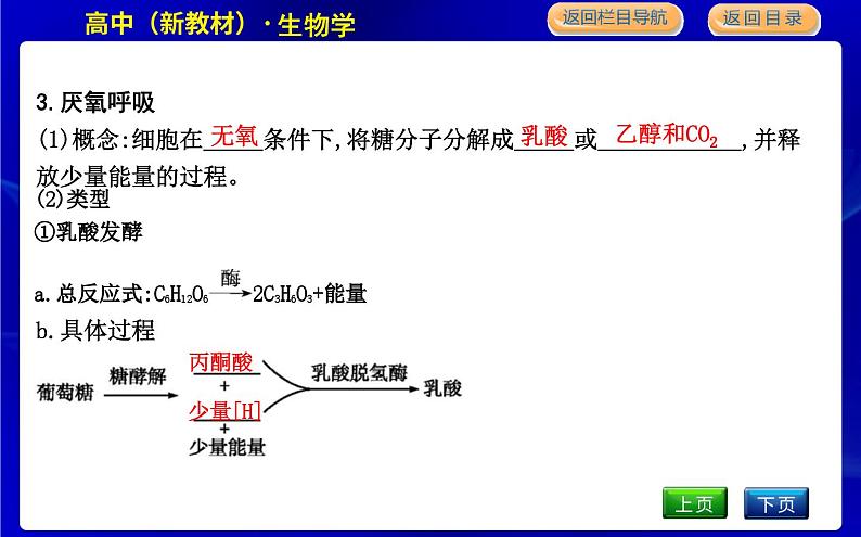 浙科版高中生物必修1第四节　细胞呼吸为细胞生活提供能量课件PPT07