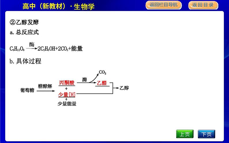 浙科版高中生物必修1第四节　细胞呼吸为细胞生活提供能量课件PPT08