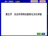 浙科版高中生物必修1第五节　光合作用将光能转化为化学能课件PPT