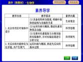 浙科版高中生物必修1第五节　光合作用将光能转化为化学能课件PPT