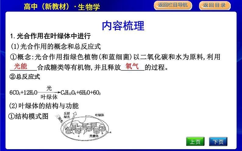 浙科版高中生物必修1第五节　光合作用将光能转化为化学能课件PPT05