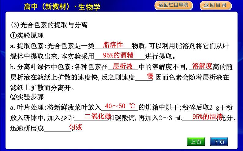 浙科版高中生物必修1第五节　光合作用将光能转化为化学能课件PPT07