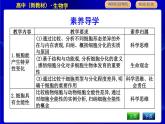 浙科版高中生物必修1第二節(jié)　細(xì)胞通過分化產(chǎn)生不同類型的細(xì)胞課件PPT