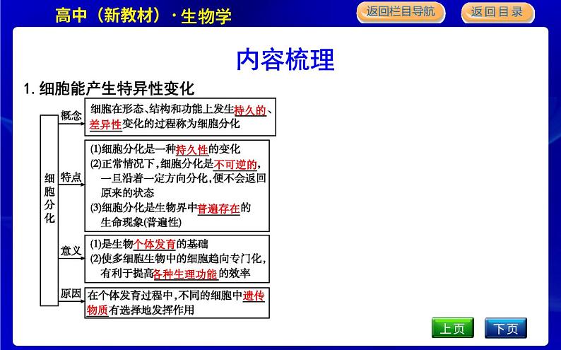 浙科版高中生物必修1第二节　细胞通过分化产生不同类型的细胞课件PPT04