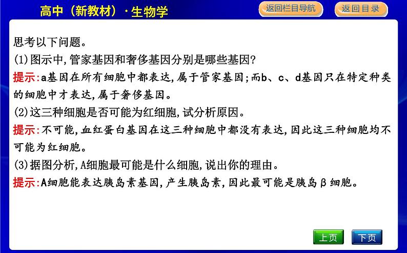 浙科版高中生物必修1第二节　细胞通过分化产生不同类型的细胞课件PPT07