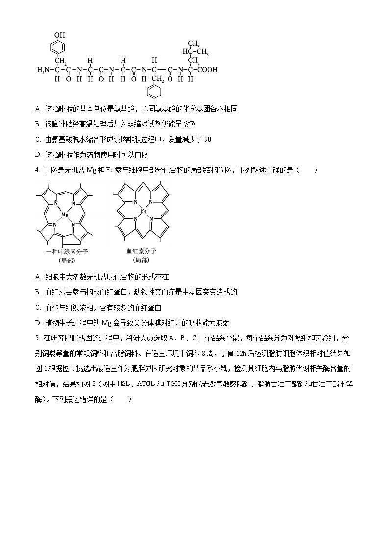 重庆市巴蜀中学2023-2024学年高二下学期7月期末考试生物试题（Word版附解析）02