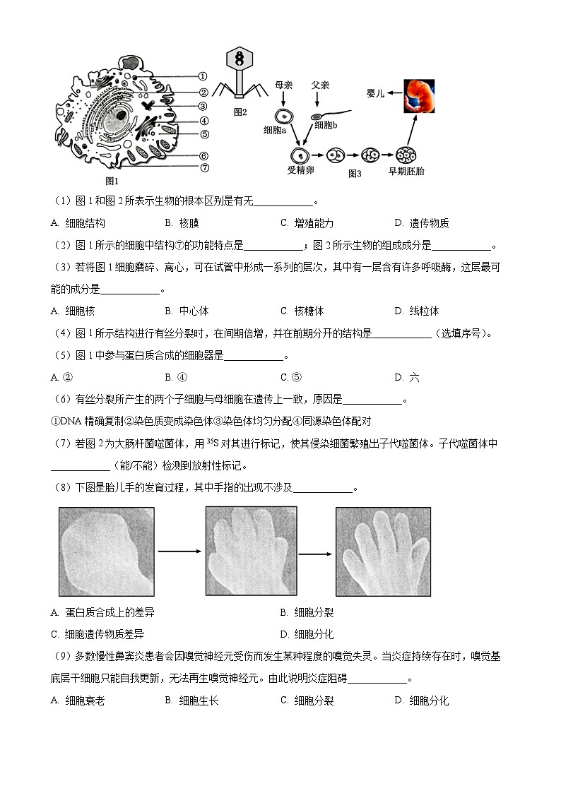 上海市黄浦区大同中学2023-2024学年高一下学期6月期末考试生物试题（Word版附解析）03