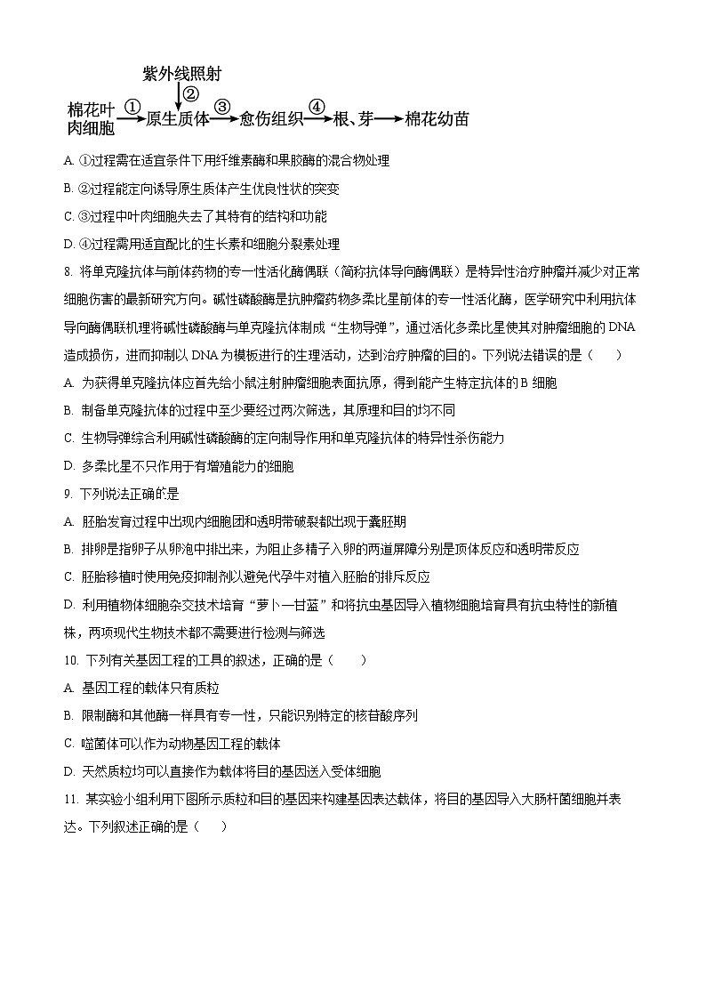 山西省朔州市怀仁市大地学校高中部2023-2024学年高二下学期7月期末考试生物试题（Word版附解析）03