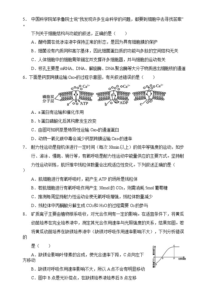 四川省阆中中学校2024-2025学年高三上学期开学检测生物试题第2页