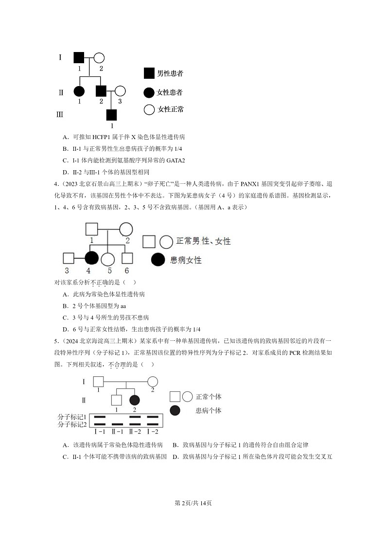 [生物]2022～2024北京高三上学期期末生物真题分类汇编：伴性遗传02
