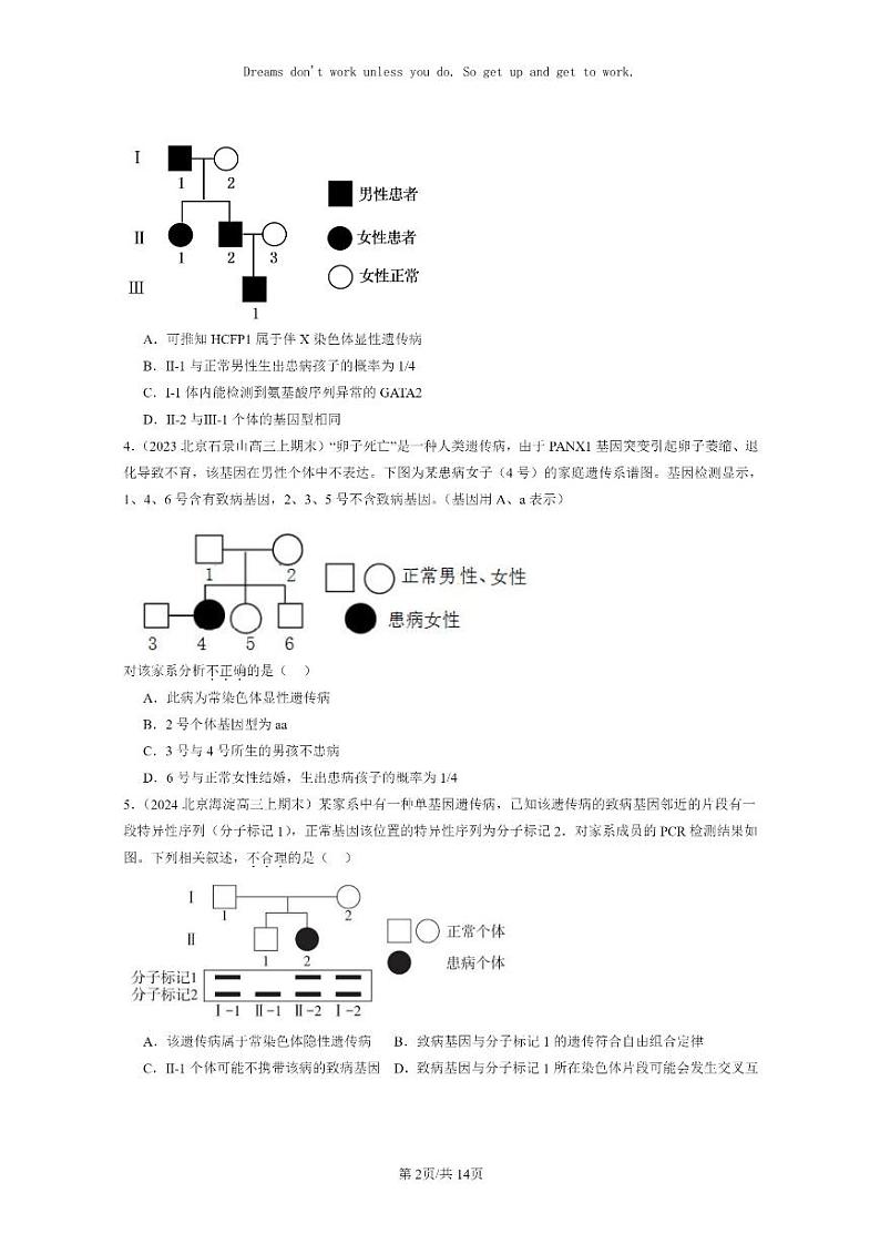[生物]2022～2024北京高三上学期期末生物真题分类汇编：伴性遗传02