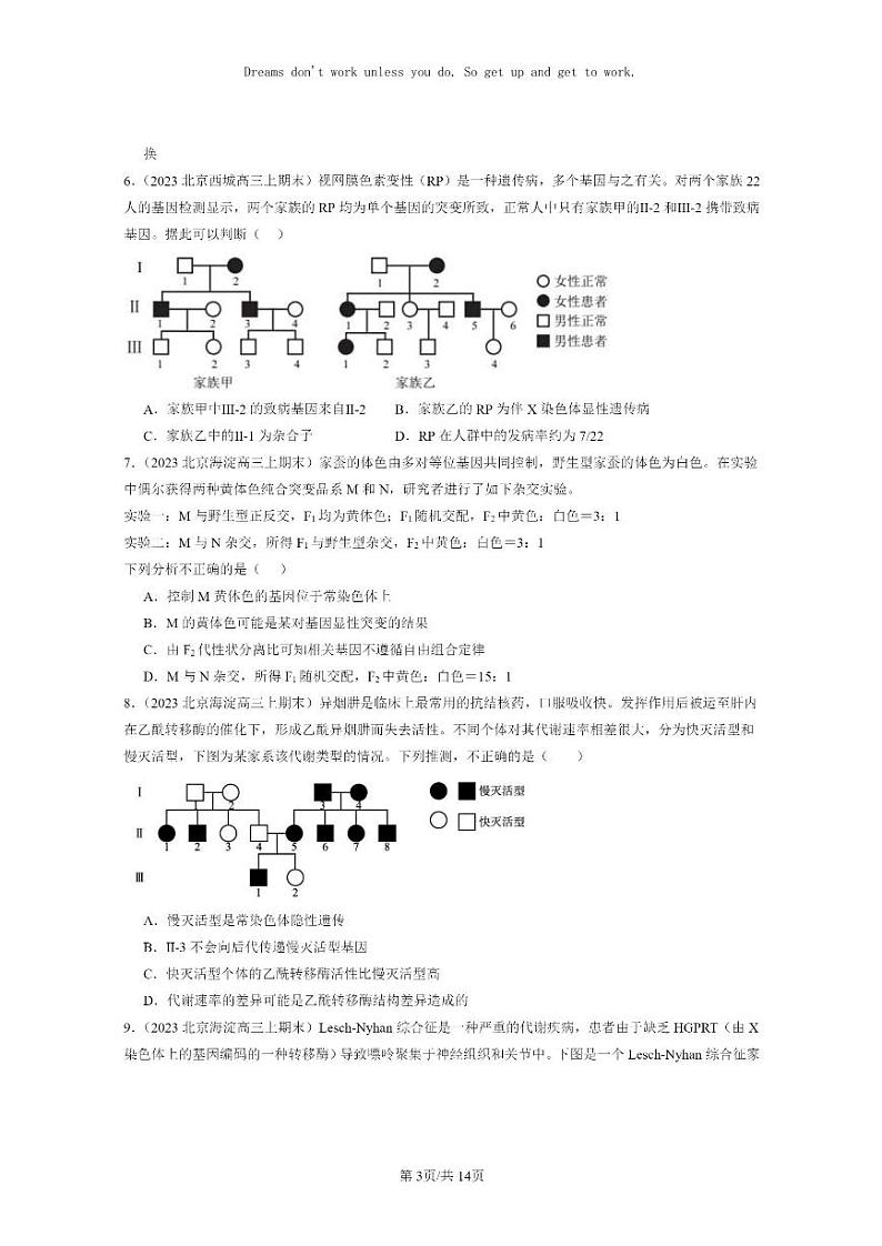[生物]2022～2024北京高三上学期期末生物真题分类汇编：伴性遗传03