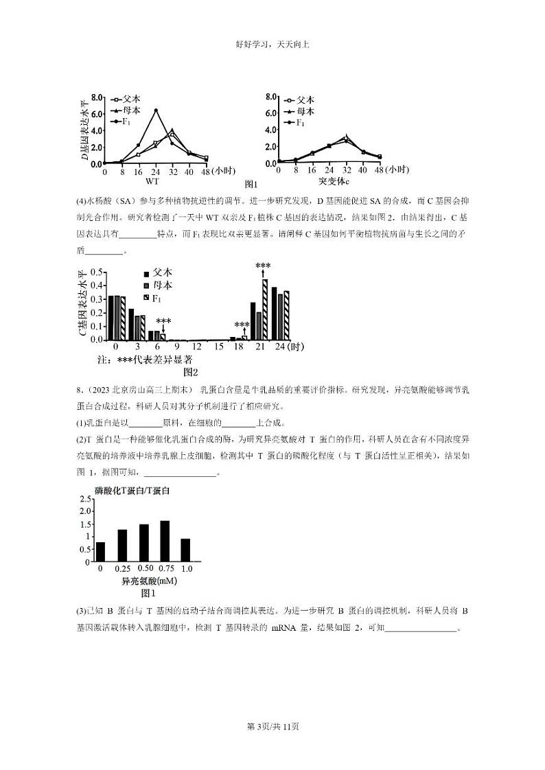 [生物]2022～2024北京高三上学期期末生物真题分类汇编：基因的表达与性状关系第3页