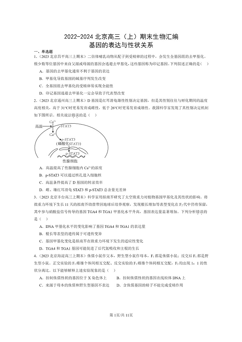 [生物]2022～2024北京高三上学期期末生物真题分类汇编：基因的表达与性状关系第1页