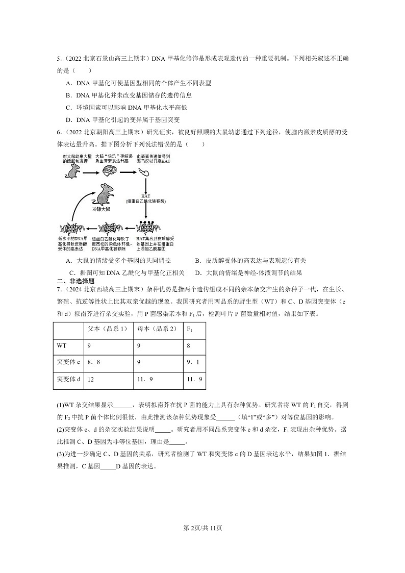 [生物]2022～2024北京高三上学期期末生物真题分类汇编：基因的表达与性状关系第2页