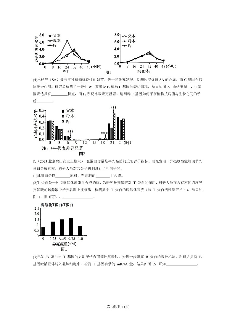 [生物]2022～2024北京高三上学期期末生物真题分类汇编：基因的表达与性状关系第3页