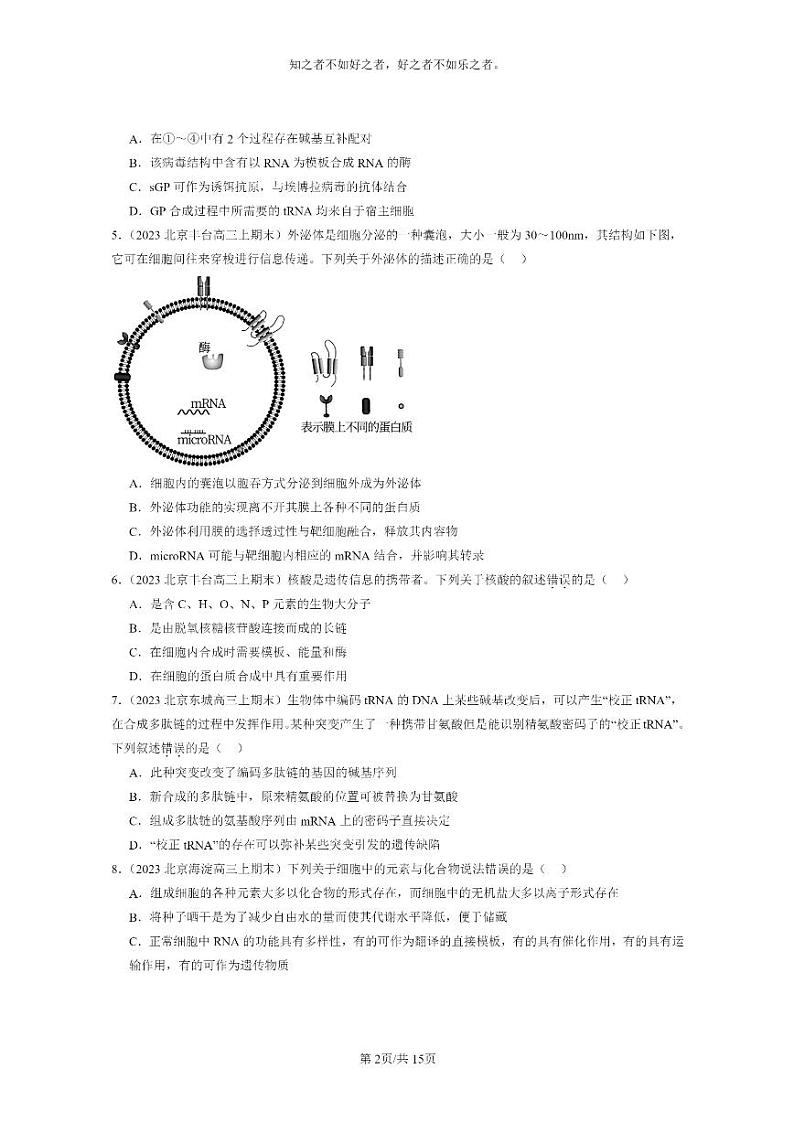 [生物]2022～2024北京高三上学期期末生物真题分类汇编：基因指导蛋白质的合成第2页
