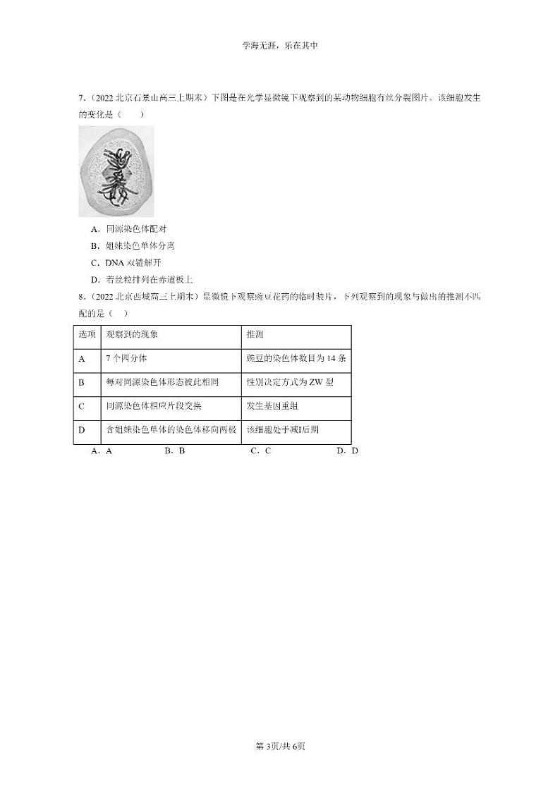 [生物]2022～2024北京高三上学期期末生物真题分类汇编：减数分裂和受精作用第3页