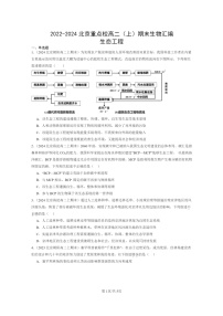 [生物]2022～2024北京重点校高二上学期期末生物真题分类汇编：生态工程