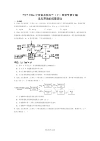 [生物]2022～2024北京重点校高二上学期期末生物真题分类汇编：生态系统的能量流动