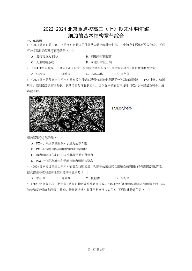 [生物]2022～2024北京重点校高三上学期期末生物真题分类汇编：细胞的基本结构章节综合第1页