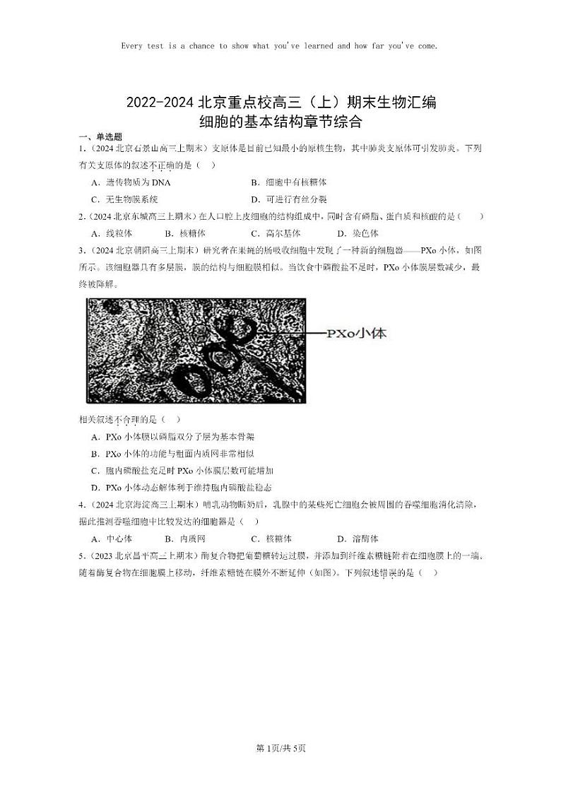 [生物]2022～2024北京重点校高三上学期期末生物真题分类汇编：细胞的基本结构章节综合第1页