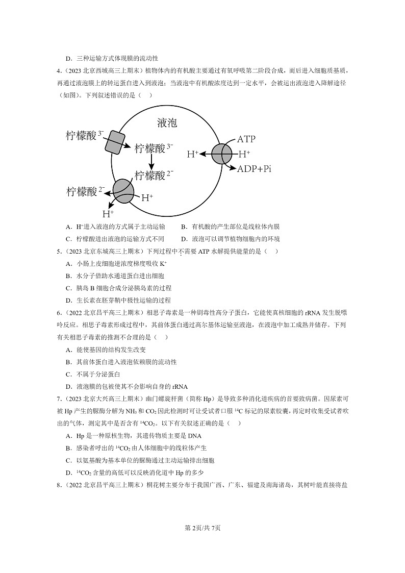 [生物]2022～2024北京重点校高三上学期期末生物真题分类汇编：细胞的物质输入与输出章节综合第2页