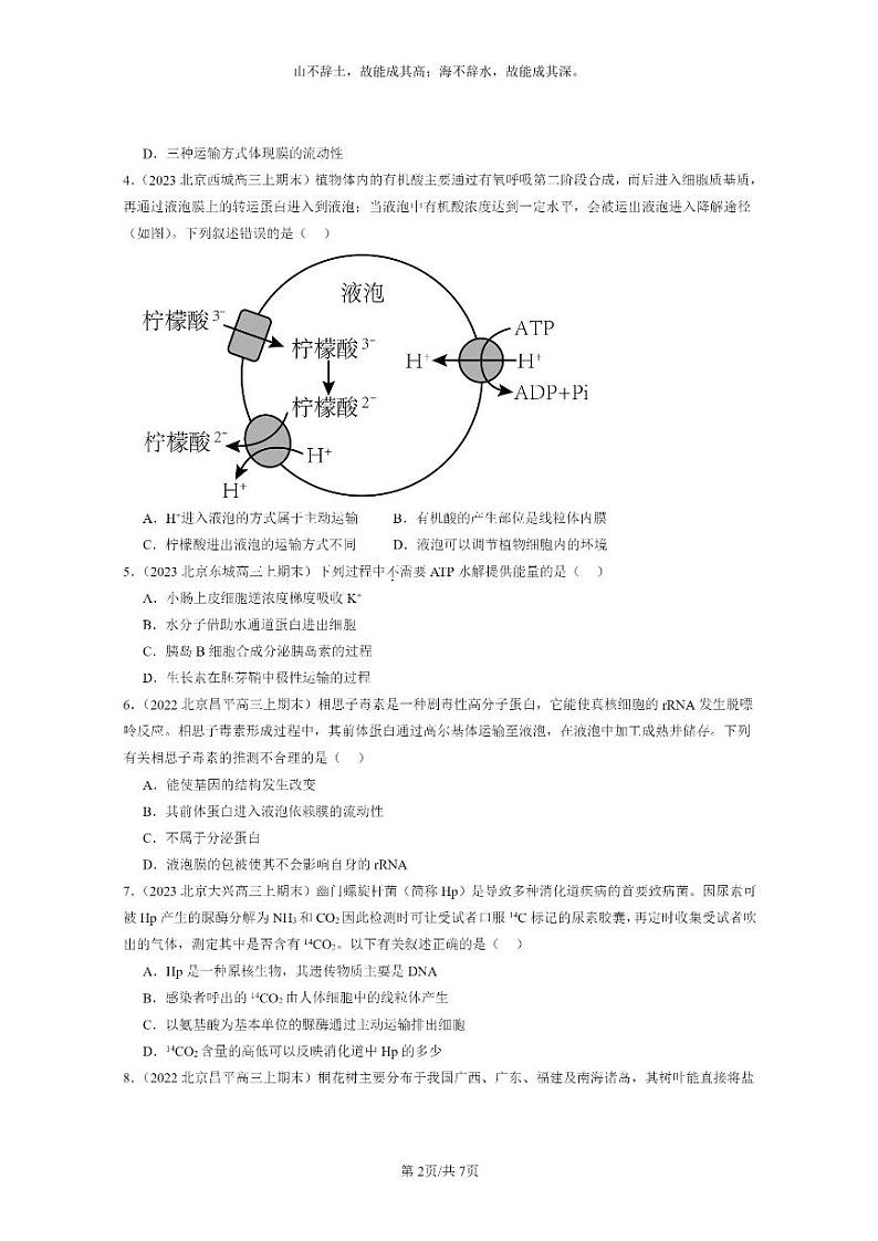[生物]2022～2024北京重点校高三上学期期末生物真题分类汇编：细胞的物质输入与输出章节综合第2页