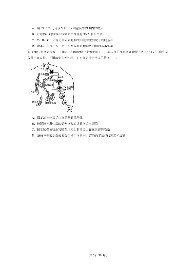 [生物]2022～2024北京重点校高三上学期期末生物真题分类汇编：细胞器之间的分工合作02
