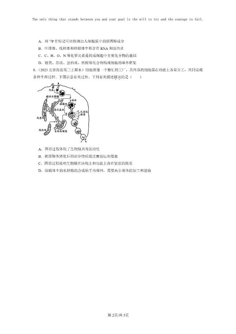 [生物]2022～2024北京重点校高三上学期期末生物真题分类汇编：细胞器之间的分工合作02