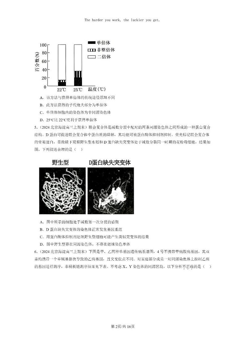[生物]2024北京高三上学期期末生物真题分类汇编：基因突变及其它变异章节综合第2页