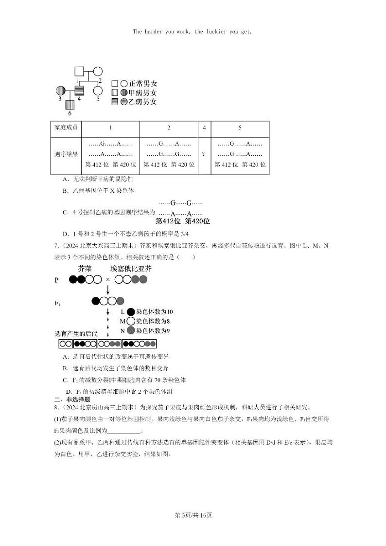 [生物]2024北京高三上学期期末生物真题分类汇编：基因突变及其它变异章节综合第3页