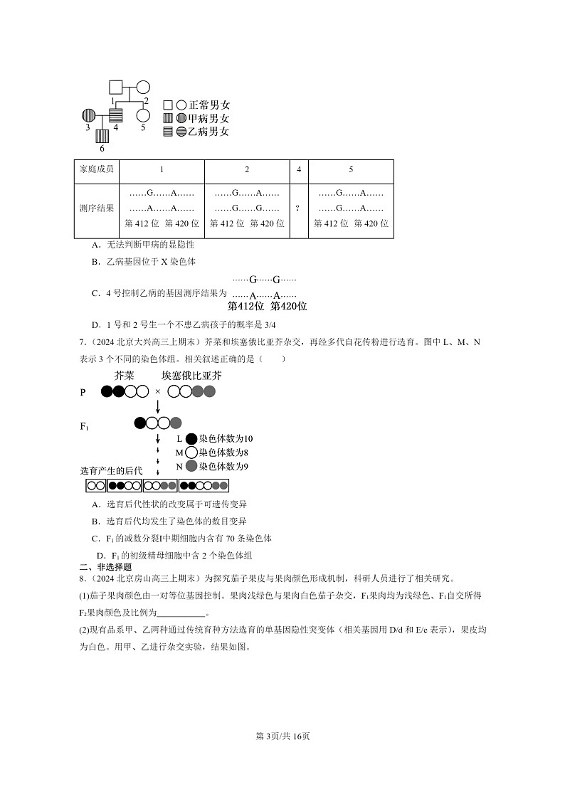 [生物]2024北京高三上学期期末生物真题分类汇编：基因突变及其它变异章节综合第3页