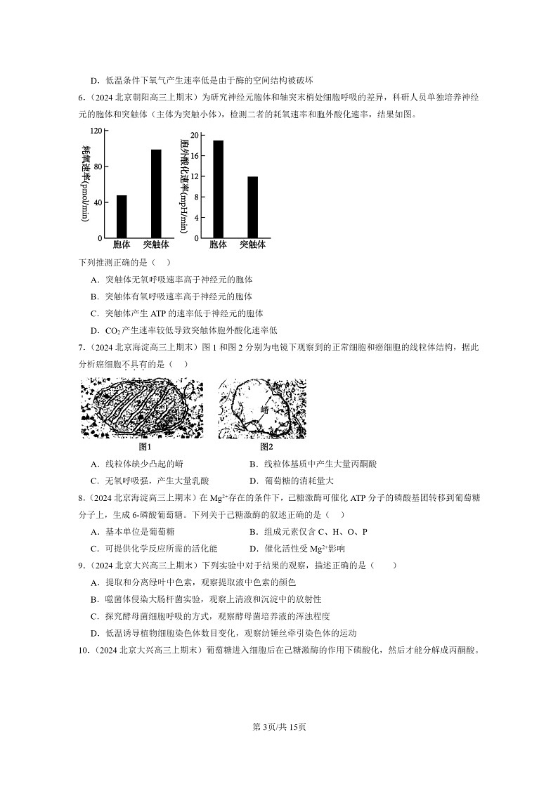 [生物]2024北京高三上学期期末生物真题分类汇编：细胞的能量供应和利用章节综合03