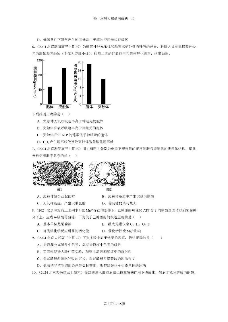 [生物]2024北京高三上学期期末生物真题分类汇编：细胞的能量供应和利用章节综合03