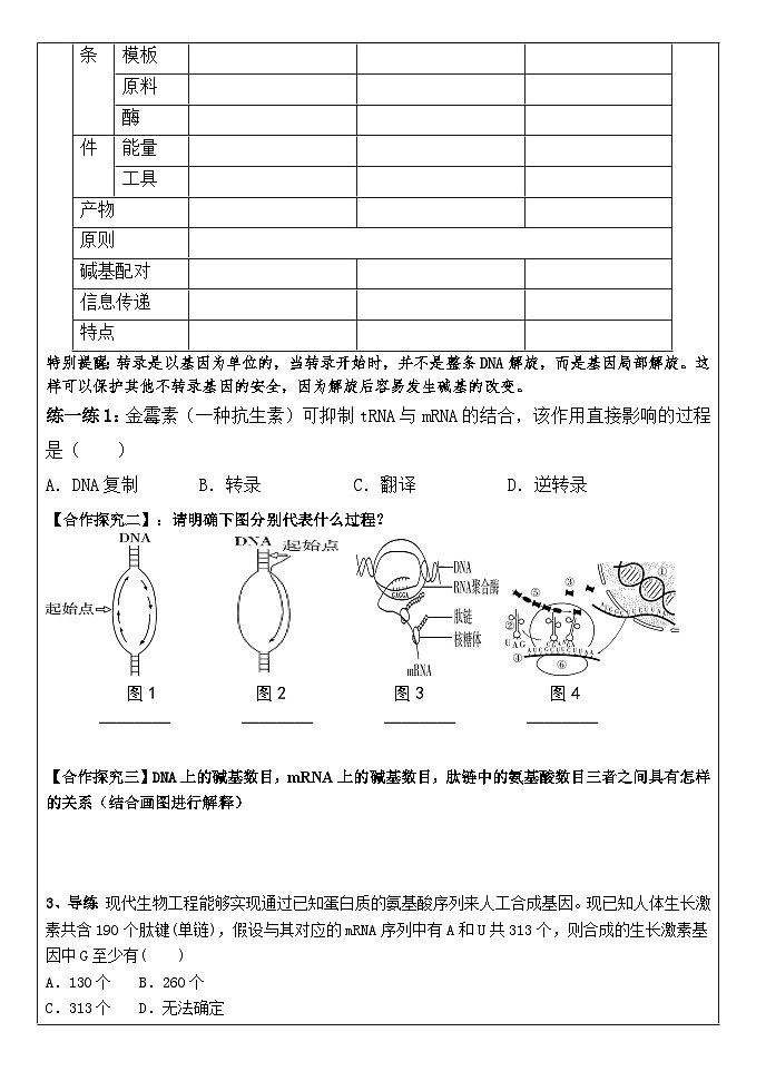 高考生物一轮复习导学案19基因的表达导学案设计第2页