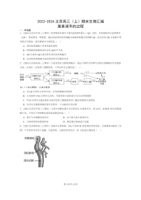 [生物]2022～2024北京高三上学期期末试题生物分类汇编：激素调节的过程