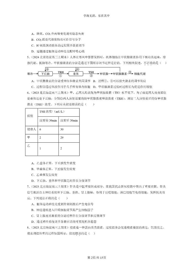 [生物]2022～2024北京高三上学期期末生物分类汇编：激素调节的过程第2页