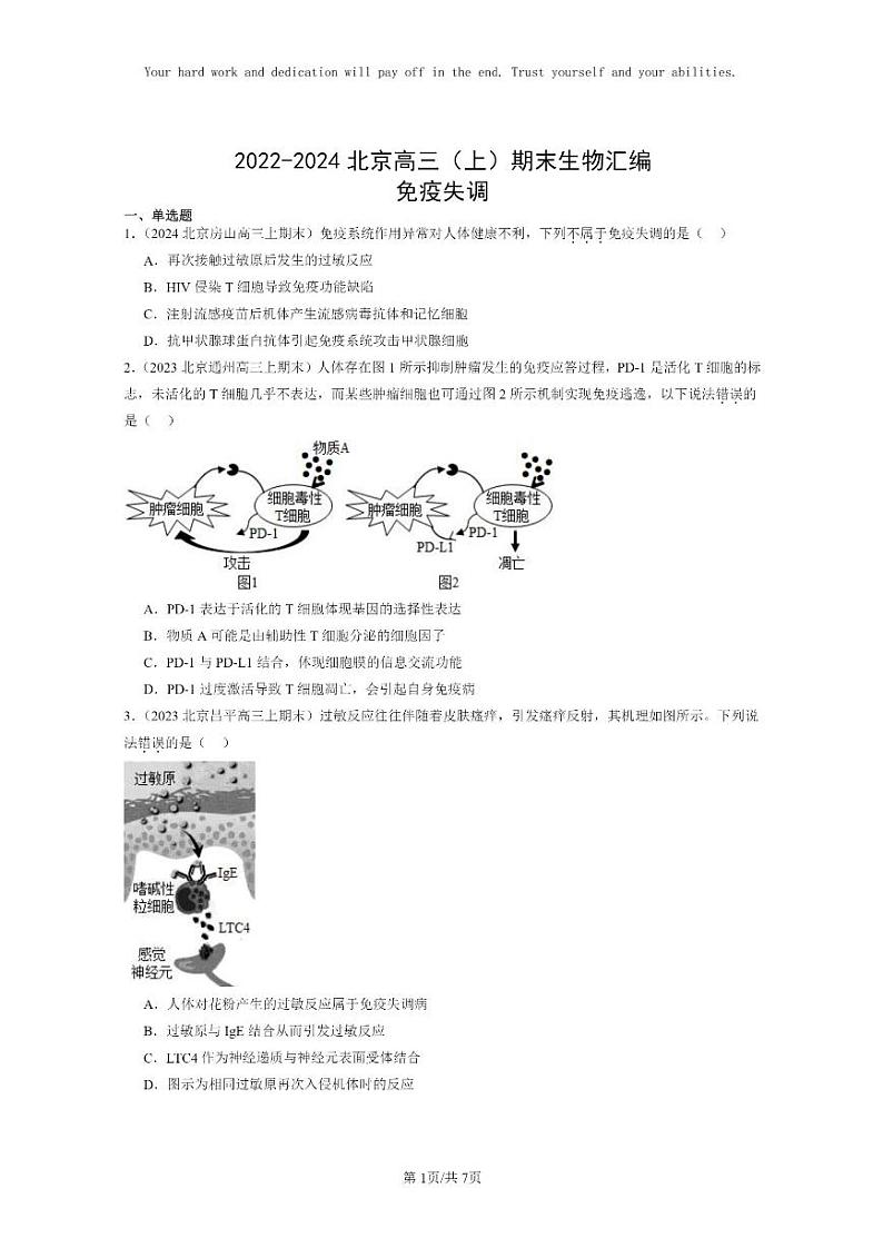 [生物]2022～2024北京高三上学期期末生物分类汇编：免疫失调第1页