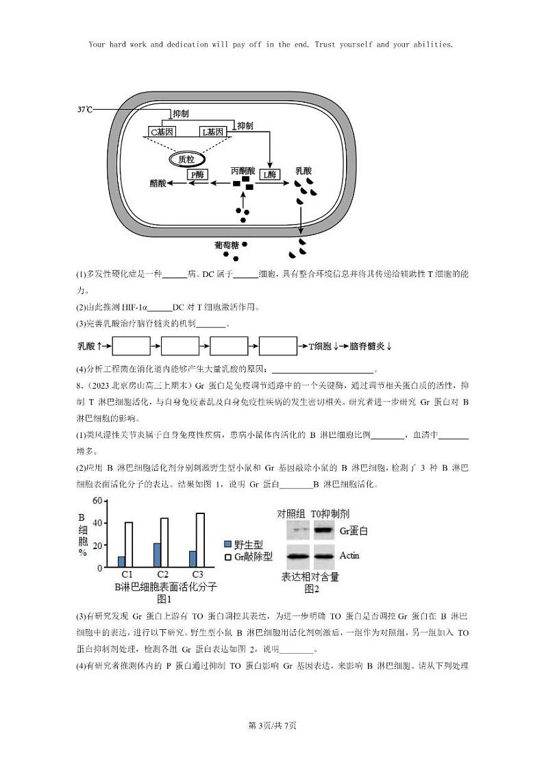 [生物]2022～2024北京高三上学期期末生物分类汇编：免疫失调第3页