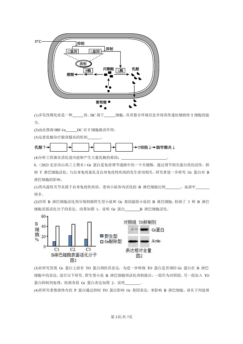 [生物]2022～2024北京高三上学期期末生物分类汇编：免疫失调第3页