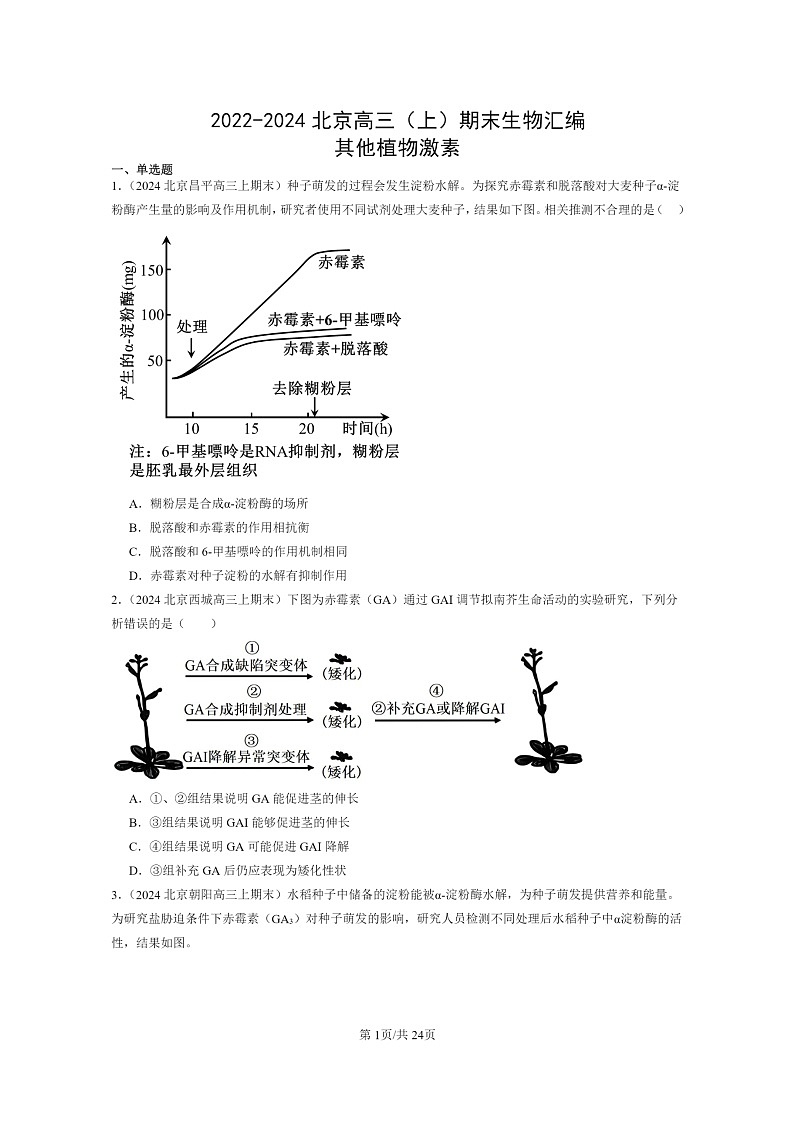 [生物]2022～2024北京高三上学期期末生物分类汇编：其他植物激素第1页