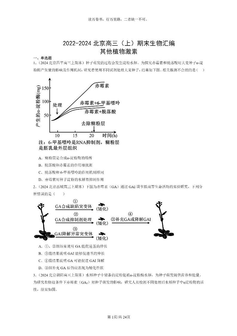 [生物]2022～2024北京高三上学期期末生物分类汇编：其他植物激素第1页