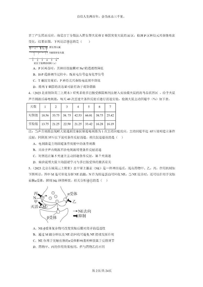 [生物]2022～2024北京高三上学期期末试题生物分类汇编：神经冲动的产生和传导02