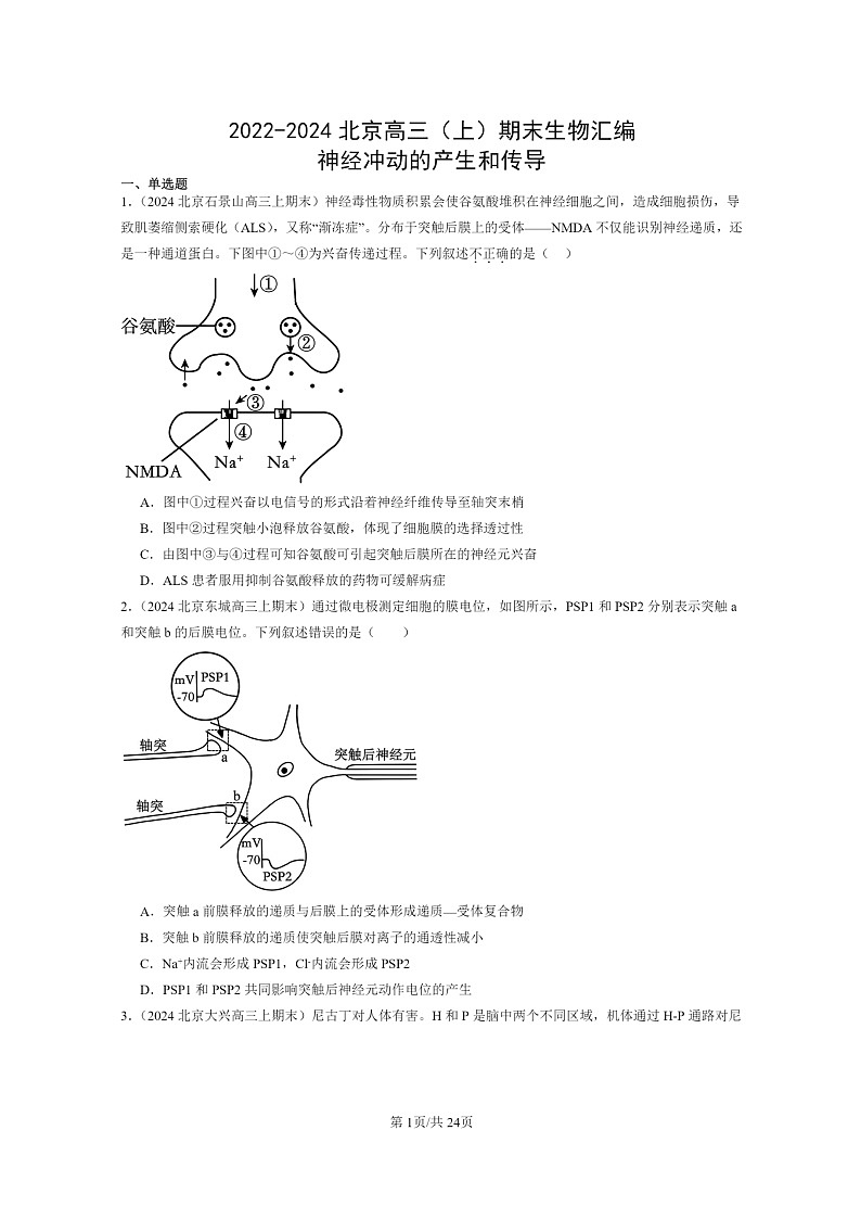 [生物]2022～2024北京高三上学期期末试题生物分类汇编：神经冲动的产生和传导01